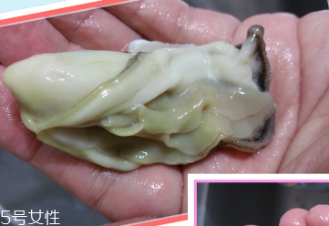生蠔會有寄生蟲嗎？不生吃就沒關系