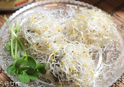 黃豆芽怎么發最快又好 自發黃豆芽的方法