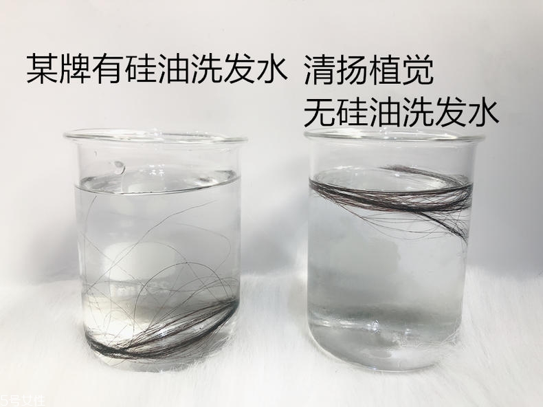 清揚0硅油洗發水好用嗎？自帶高級感香調
