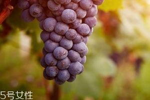 葡萄籽會影響月經嗎？吃法正確就不會