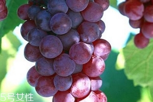 葡萄籽會推遲月經嗎？一般不會