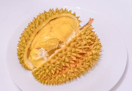甲侖榴蓮是哪里的特產 甲侖榴蓮的產地