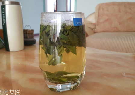 六安瓜片是什么茶？六安瓜片好喝嗎？