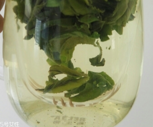 六安瓜片是紅茶還是綠茶？