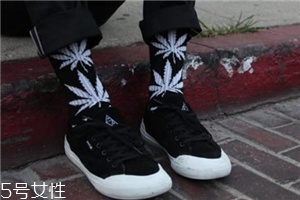 楓葉襪子是什么牌子？楓葉襪子品牌介紹