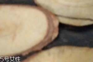 東革阿里是中藥嗎？東革阿里是什么？