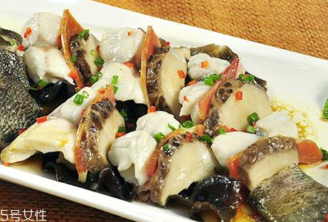 龍躉魚的營養價值 龍躉魚多少錢一斤2018