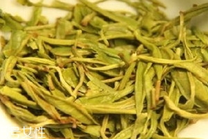 黃金茶屬于什么茶 黃金茶的產地在哪里