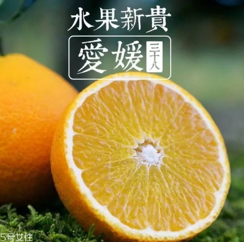愛媛38號多少錢一斤？愛媛38號柑桔市場行情