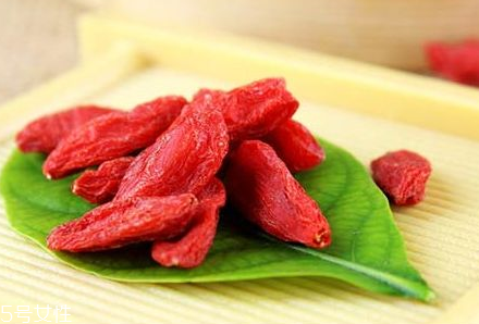 枸杞是哪個地方的特產？哪里產的枸杞好？