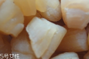 干貝是海鮮嗎？干貝是什么動(dòng)物做的？