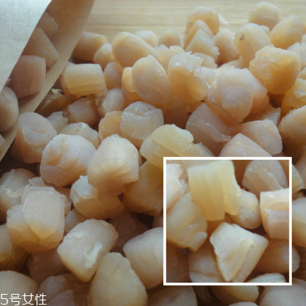 干貝是海鮮嗎？干貝是什么動物做的？