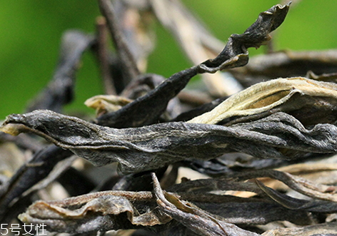 昔歸古樹茶有哪些特點(diǎn) 昔歸古樹茶價格