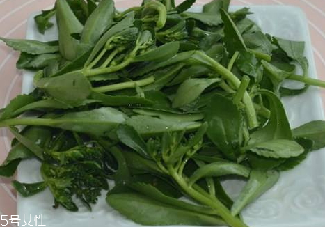 高鈣菜多少錢一斤 高鈣菜的營養價值