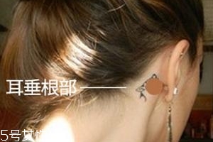 暈車貼貼哪里？暈車貼貼哪里示意圖