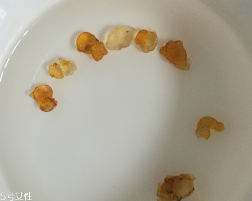 桃膠能和紅糖一起煮嗎？桃膠煮紅糖好嗎？