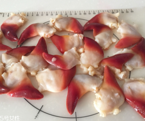 北極貝是海鮮嗎？北極貝介紹