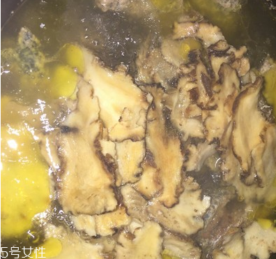 烏骨雞是烏雞嗎？烏骨雞是什么雞？