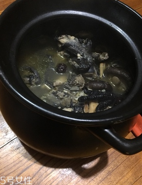 烏雞是公雞好還是母雞好？烏雞買公雞還是母雞？