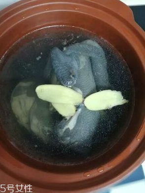 烏雞是熱性還是涼性？烏雞偏熱還是偏涼？