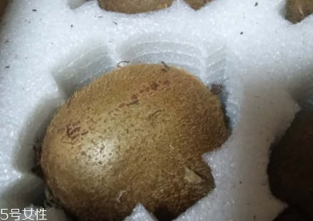 綠心獼猴桃硬的能吃嗎？硬的綠心獼猴桃能吃嗎？