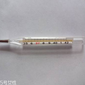 體溫計多少錢？體溫計價格