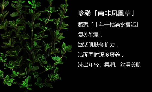 阿瑪尼洗面奶怎么樣？阿瑪尼洗面奶評(píng)測(cè)
