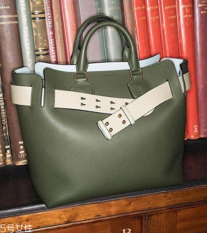 burberry the belt是什么皮？巴寶莉貝爾特包材質