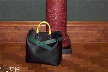 burberry the belt是什么皮？巴寶莉貝爾特包材質