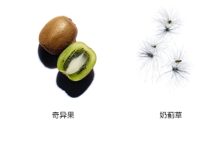 嬌韻詩(shī)雙萃精華多少錢？嬌韻詩(shī)雙萃精華容量