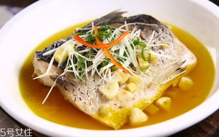 青魚怎么養殖?青魚好養嗎？