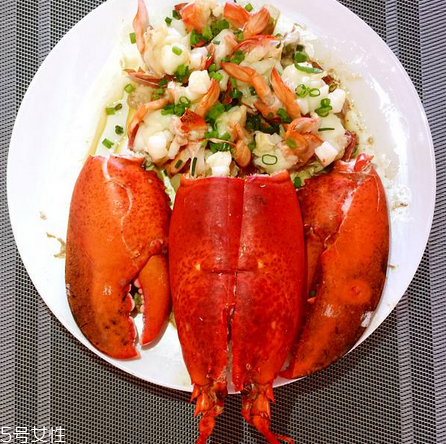 波士頓龍蝦什么季節最好吃？