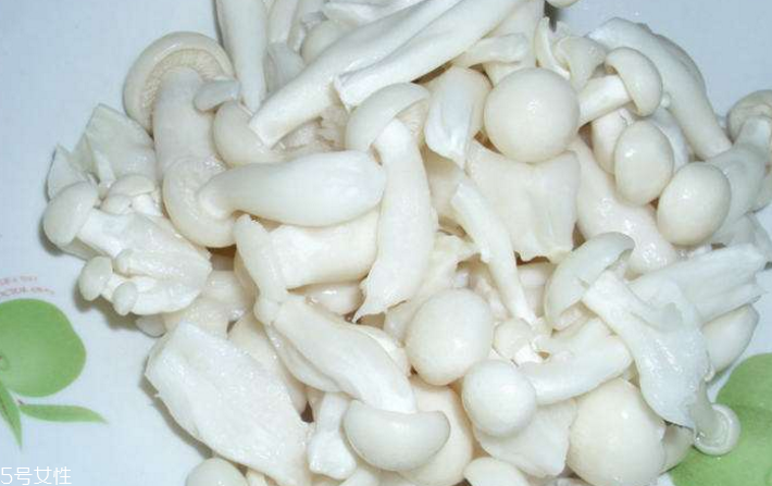 白玉菇為什么是苦的？白玉菇怎么會(huì)苦？
