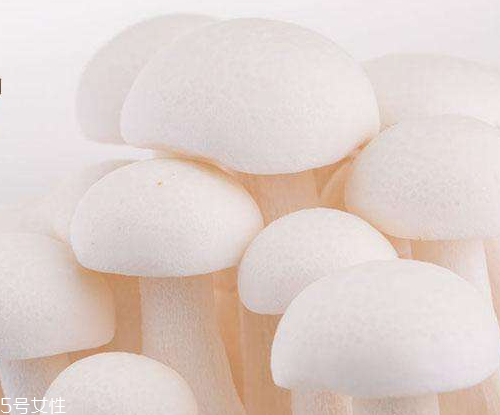 白玉菇的吃法 白玉菇能燉雞嗎？