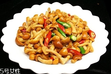 滑子菇是什么？滑子菇能吃嗎？