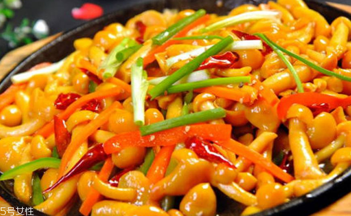 滑子菇野生和滑子菇養殖的區別 野生滑子菇的好嗎？