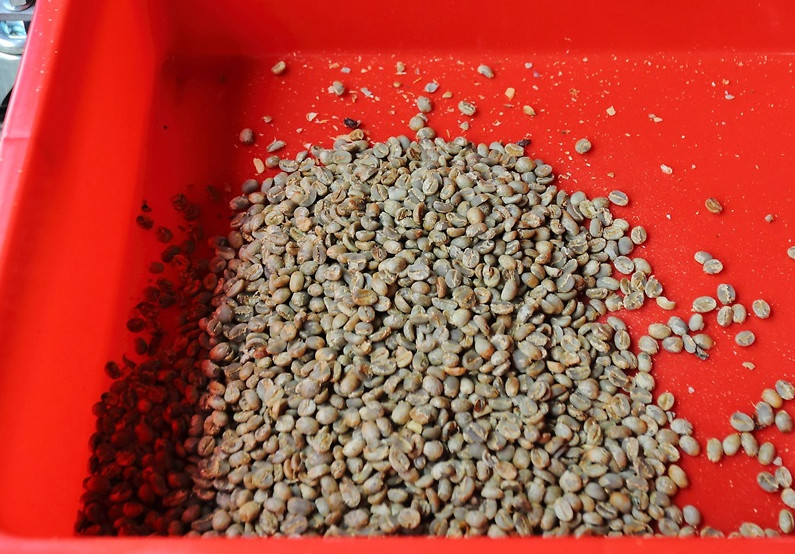 咖啡豆新豆、舊豆、老豆各有什么特色