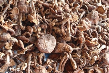 榛蘑有保質期嗎？榛蘑的保質期有多久？
