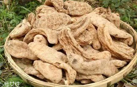 榛蘑和天麻的關系 榛蘑和天麻有什么聯系？
