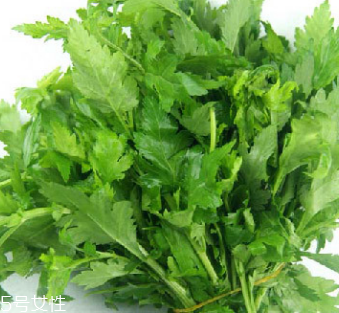 菊花腦是苦的嗎？菊花腦苦不苦？