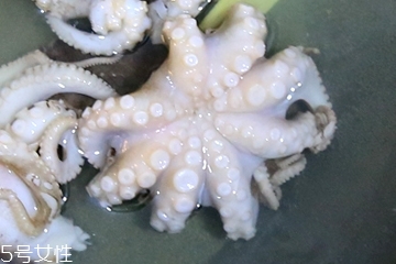 章魚(yú)會(huì)噴墨汁嗎？章魚(yú)的墨汁能吃嗎？