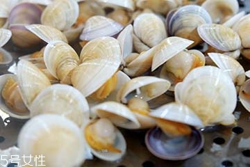 文蛤是淡水還是海水？文蛤是淡水水產嗎？