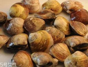 文蛤是冷水煮還是熱水？文蛤是用熱水嗎？