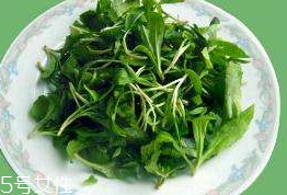 馬蘭頭對人的好處？馬蘭頭有什么好處？