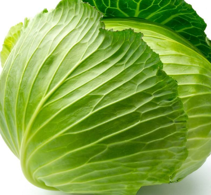 牛心菜能多吃嗎？牛心菜吃多了會怎樣？