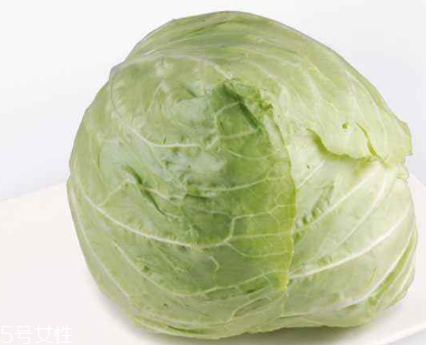牛心菜能多吃嗎？牛心菜吃多了會怎樣？
