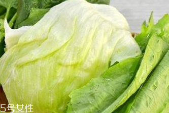牛心菜和圓白菜的區別 牛心菜和圓白菜是一種嗎
