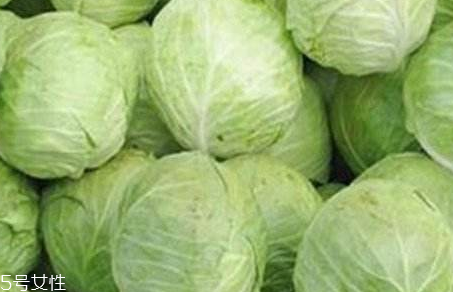 牛心菜是寒性還是熱性？牛心菜是寒性的嗎？