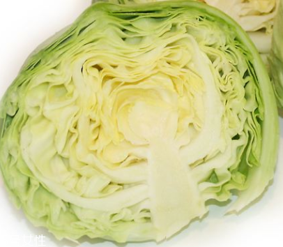 牛心菜是酸性還是堿性？牛心菜是酸性的嗎？