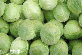 牛心菜和紫甘藍的區別 牛心菜和紫甘藍怎么分辨？